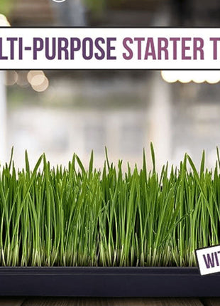 Plastic Seed Starter Tray &#8220;Plant Propagation Tray&#8221;