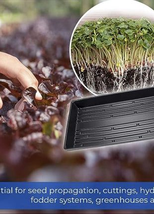 Plastic Seed Starter Tray &#8220;Plant Propagation Tray&#8221;