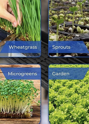 Plastic Seed Starter Tray &#8220;Plant Propagation Tray&#8221;