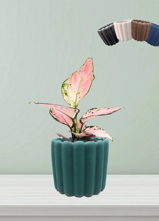 Babu Ribbed Small Pot