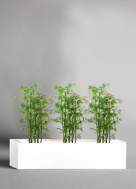 Bamboo Multiplex Trio in Rectangular Fiber Glass Planter (GRP) (90x30x30cm)