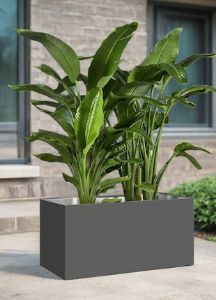 Bird of Paradise Pair Indoor in Fiber Glass Pot (GRP) (90-30-30cm)