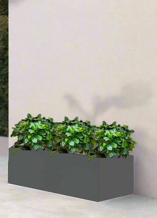 Gardenia Trio in Rectangular Fiber Glass Planter (GRP) (90x30x30cm)
