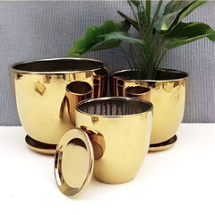 Shining Gold Vase Set (Ceramic Vase) with Saucer