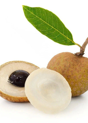 Longan Fruit 1.2-1.5m