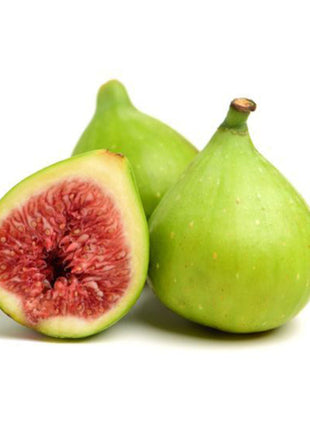 Fig Tree Middle eastern 1.0-1.2m