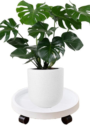 Plant Trolly with Wheels