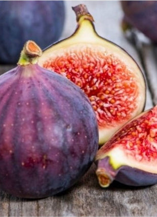 Fig Tree Turkish Red