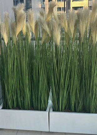 Artificial Pampas Grass With GRP Rectangle Pots