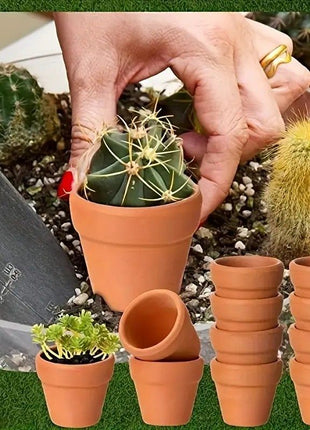 Small Mini Clay Pots With Drainage Holes
