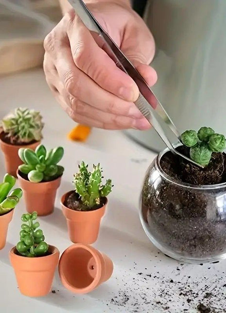 Small Mini Clay Pots With Drainage Holes