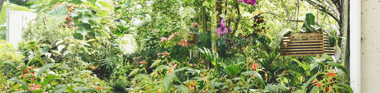 <h2>Garden Sale is Comming</h2>