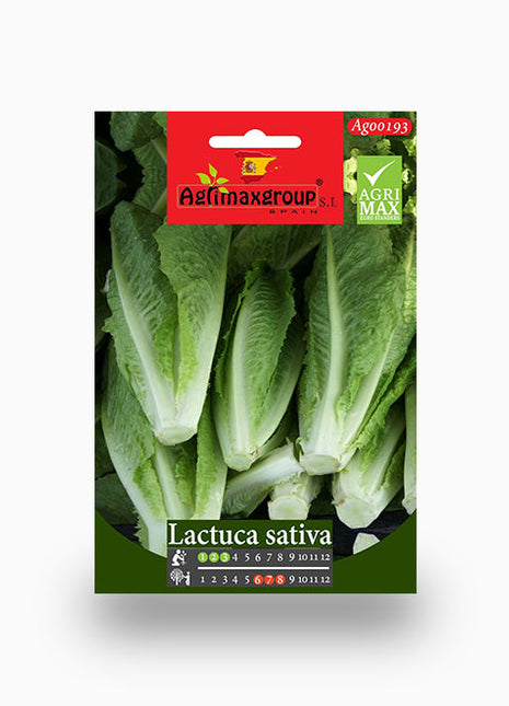 Lactuca Sativa Agrimax Seeds
