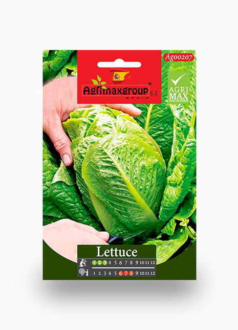 Lettuce Agrimax Seeds