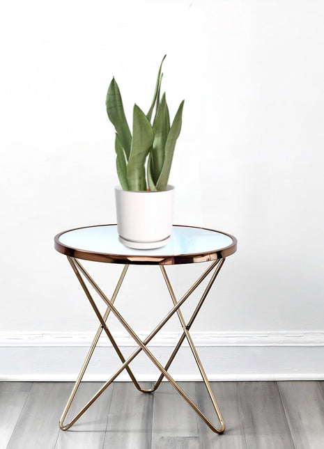 Snake Plant &#8220;Moon Shine&#8221; 25-30cm