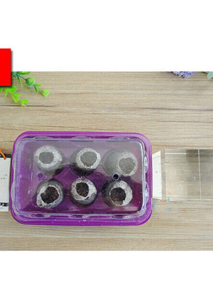 Peat Pellets or Peat Seeds Starters 3x3x1cm &#8220;Best way To Start Seeds&#8221;