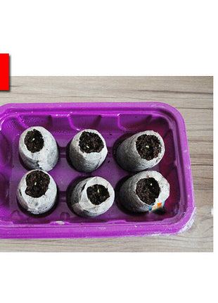 Peat Pellets or Peat Seeds Starters 3x3x1cm &#8220;Best way To Start Seeds&#8221;