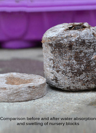 Peat Pellets or Peat Seeds Starters 3x3x1cm &#8220;Best way To Start Seeds&#8221;