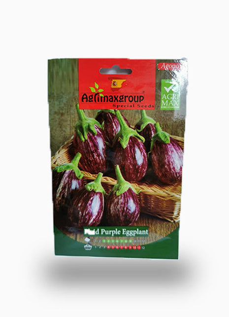 Plaid Purple Eggplant