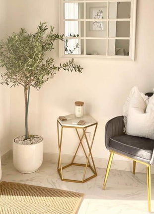 Olive Trees 140cm to 150cm Big on PROMO