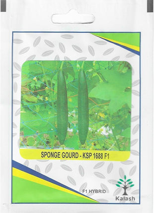 Kalash Sponge Gourd KSP 1688 F1 Hybrid Premium Quality Seeds