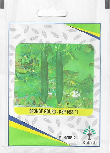 Kalash Sponge Gourd KSP 1688 F1 Hybrid Premium Quality Seeds