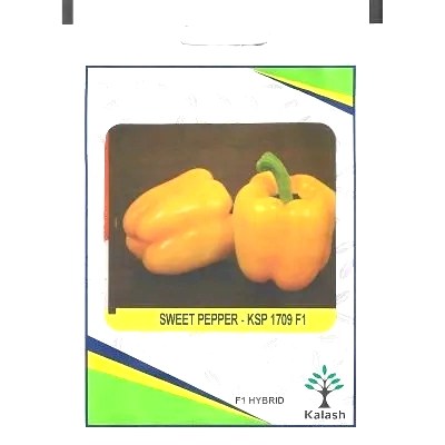 Kalash Sweet Pepper KSP 1709 F1 Hybrid Premium Quality Seeds