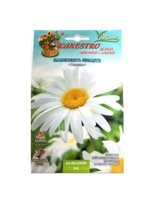 Marghrita Gigante Seeds by CANESTRO