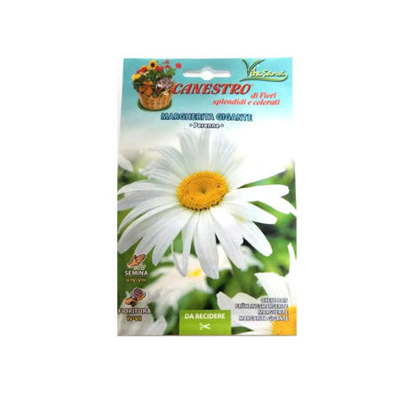 Marghrita Gigante Seeds by CANESTRO